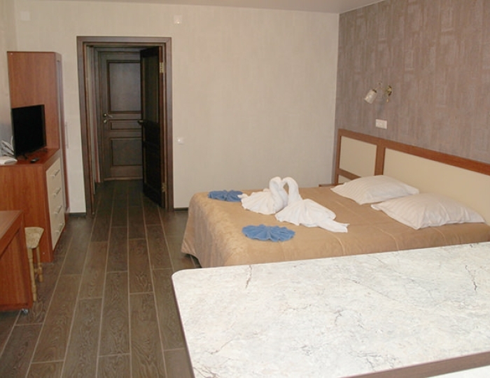 Студия 2-местный - Санаторий «Лесное» Беларусь